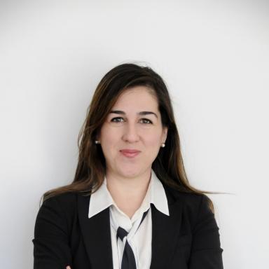 Professor Semiha Ergan